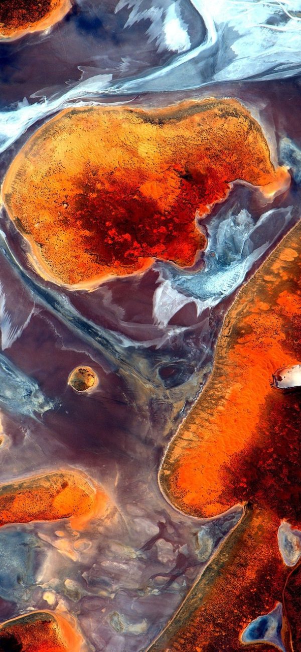 谷歌卫星地图在线 App 卫星影像主界面截图，画面中央为俯瞰视角的城市街区，底部悬浮缩放按钮与坐标显示栏，整体色调偏冷，界面干净